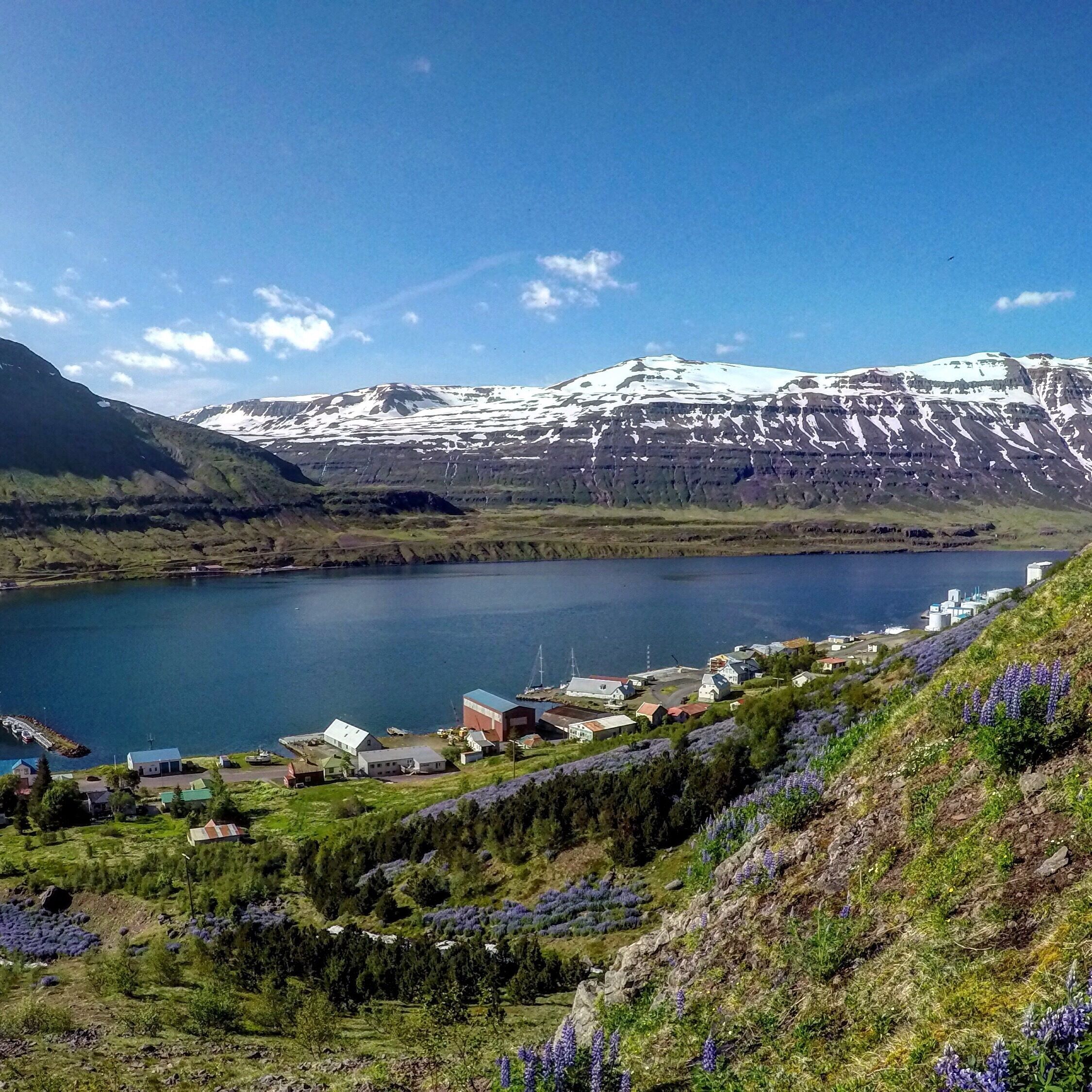 A lake surrounded by mountains, a small village, and purple flowers.