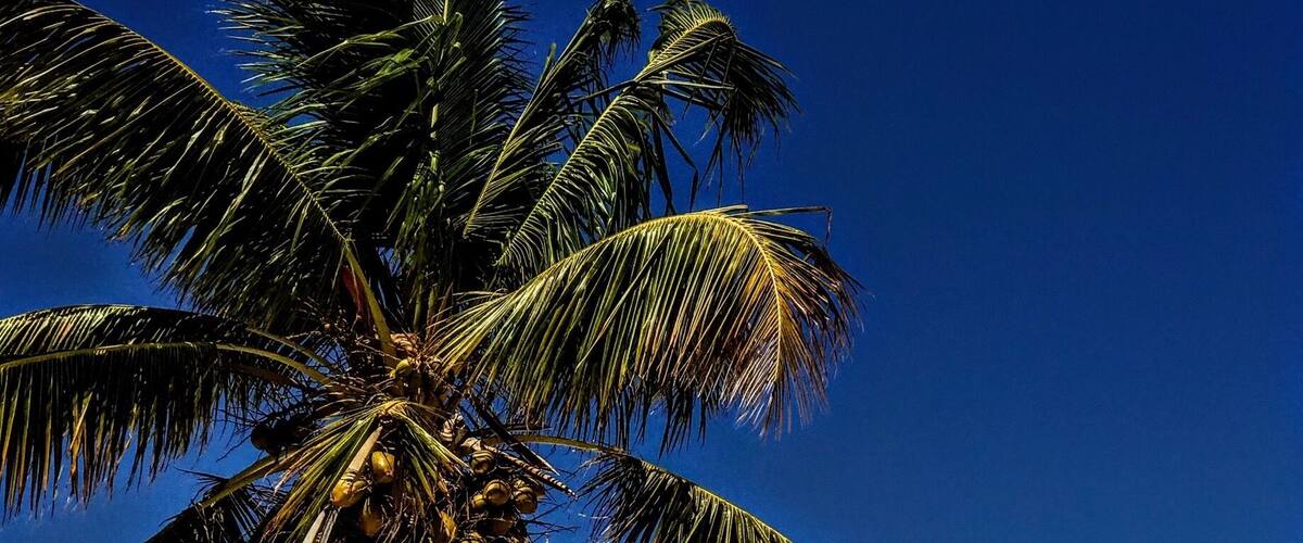 Una hermosa tarde en la playa , el clima es estupendo y fresco
