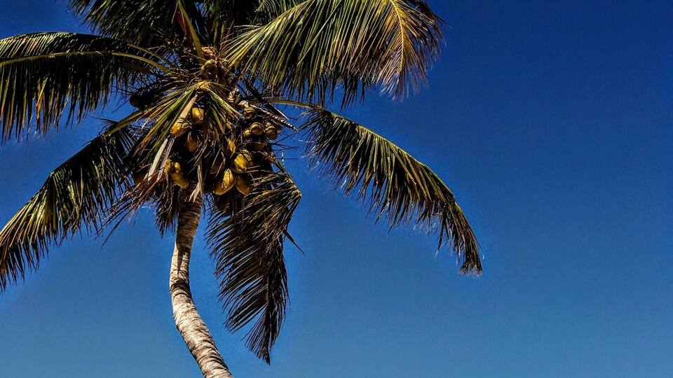 Una hermosa tarde en la playa , el clima es estupendo y fresco