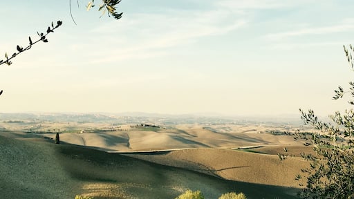 La plus sympathique maison d'Agritourisme près de Sienne: je recommande!