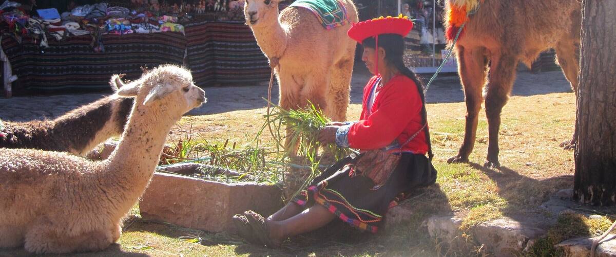 Local Andean woman at the Willka Pukara handicraft market in Sacred Valley. #Market