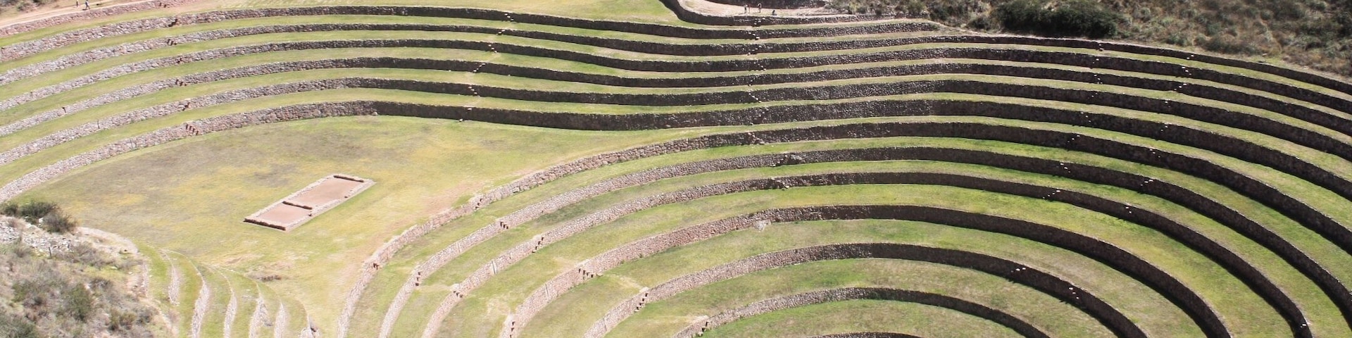 Des terrasses agricoles aménagées sur une pente.