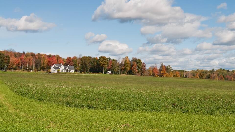Farm
