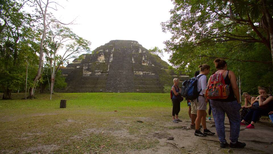 A group of people standing in front of a large ancient pyramid-like structure surrounded by trees.