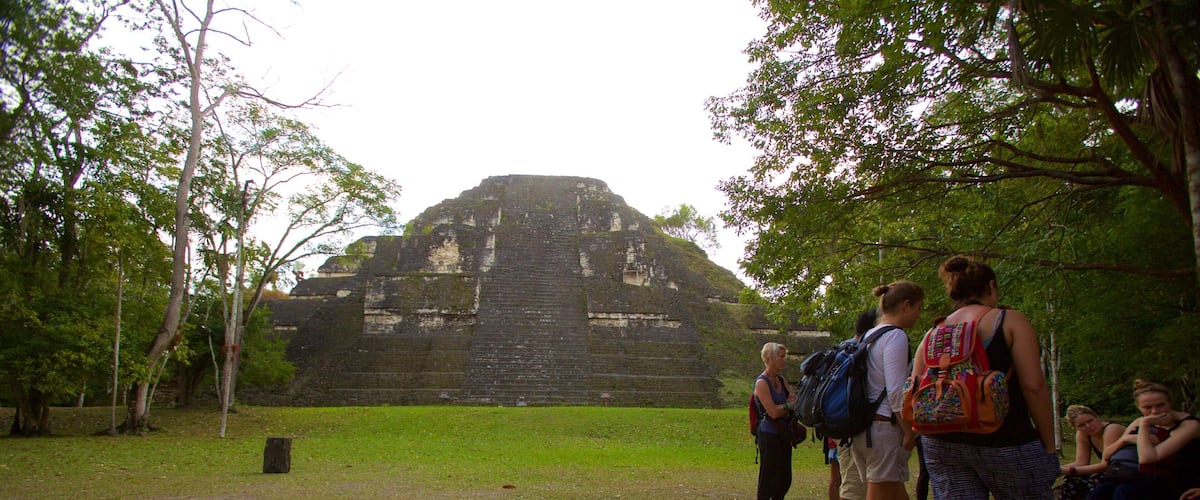 A group of people standing in front of a large ancient pyramid-like structure surrounded by trees.