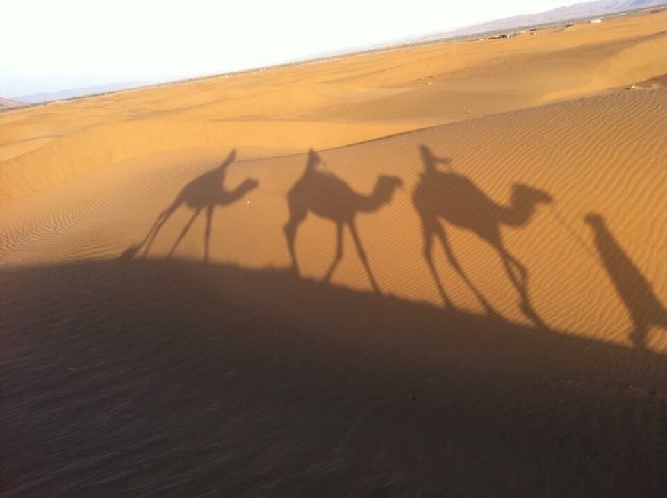 Overnight desert camp followed by sunrise camel ride in Morocco is a must ! 