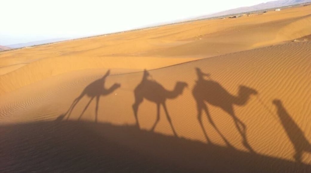 Overnight desert camp followed by sunrise camel ride in Morocco is a must !