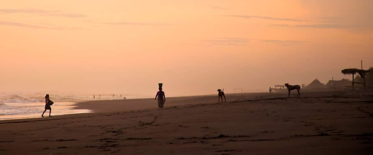 A beach with people walking and a dog.