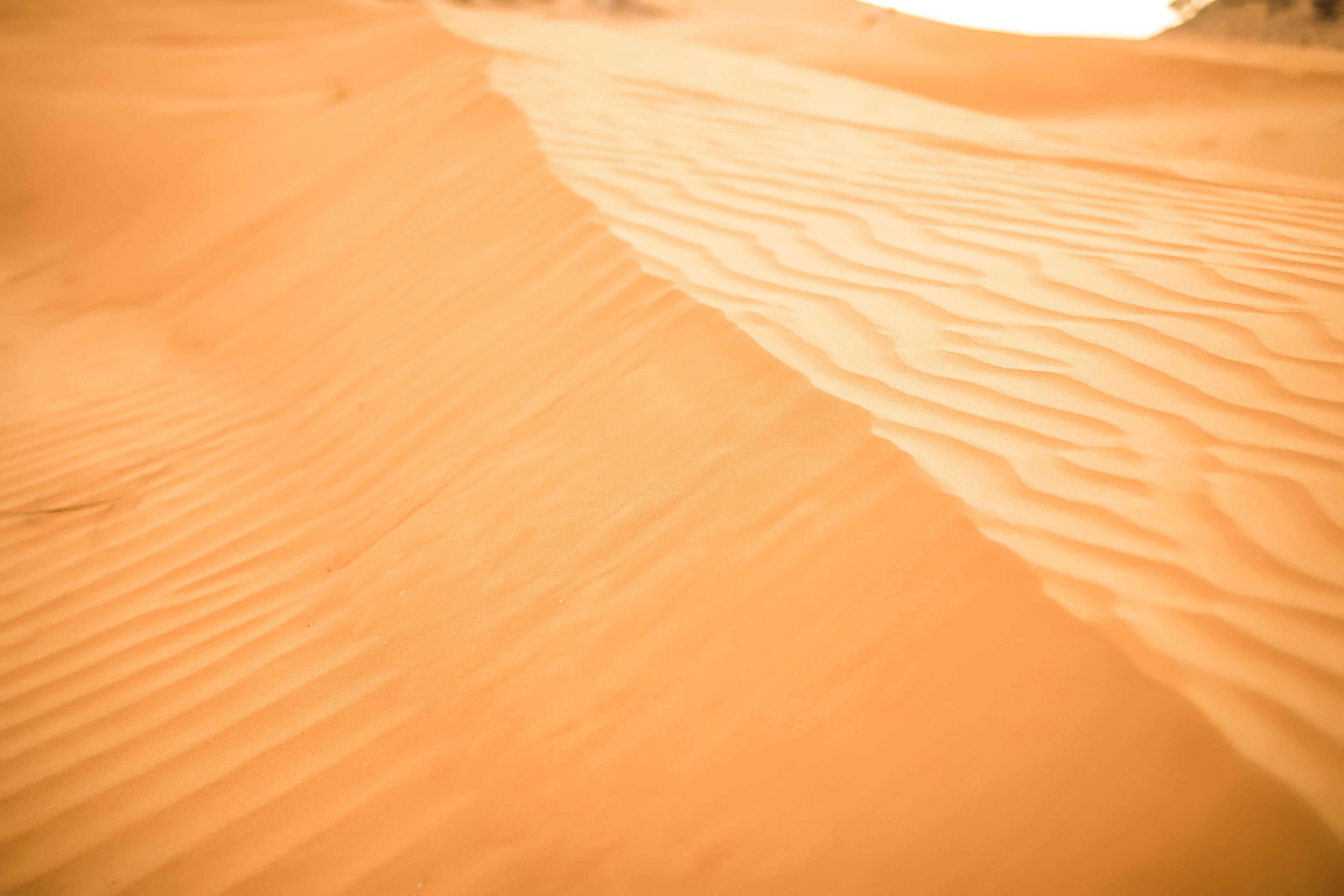 Sand dunes in the desert near Dubai, United Arab Emirates.