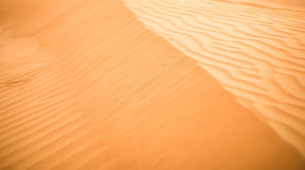 Sand dunes in the desert near Dubai, United Arab Emirates.
