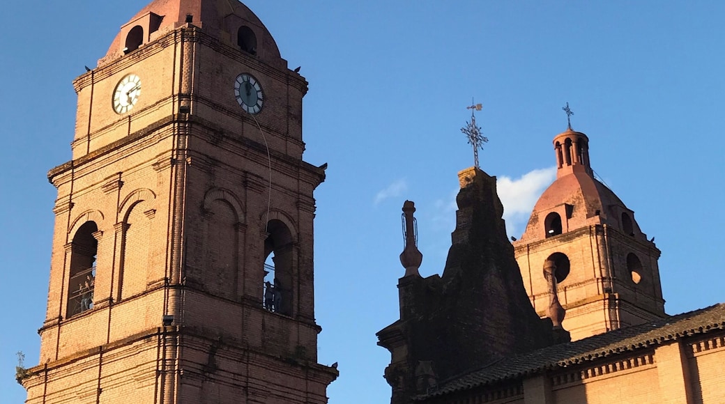 Beautiful Santa Cruz!