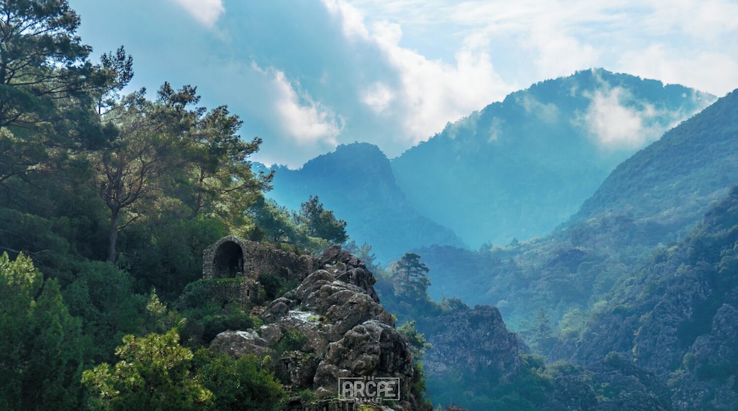 OOOOH YES!
I stayed true to my word and didn't leave Olympos until I finished my new website!
Only going out for a couple of hours a day and After a lot of hours spent in front of my computer and who knows how many cups of coffee, I've completely redesigned my website and I'm loving the fresh new feeling.
You'll find new sections and I'm even starting to sell physical prints of my photographs with worldwide shipping! I'll be adding more on the coming weeks.
I'm also taking the opportunity to announce that I'm looking for more freelance Graphic/Web Design projects, so help me spread the word and don't be afraid to contact me!
Anyway! Go check my website and let me know what you think!