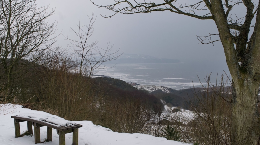 Snowy Ravenscar
#BeachTips #LikeALocal #ravenscar #seaside #seaview #coast #whitby #scarborough #robinhoodsbay