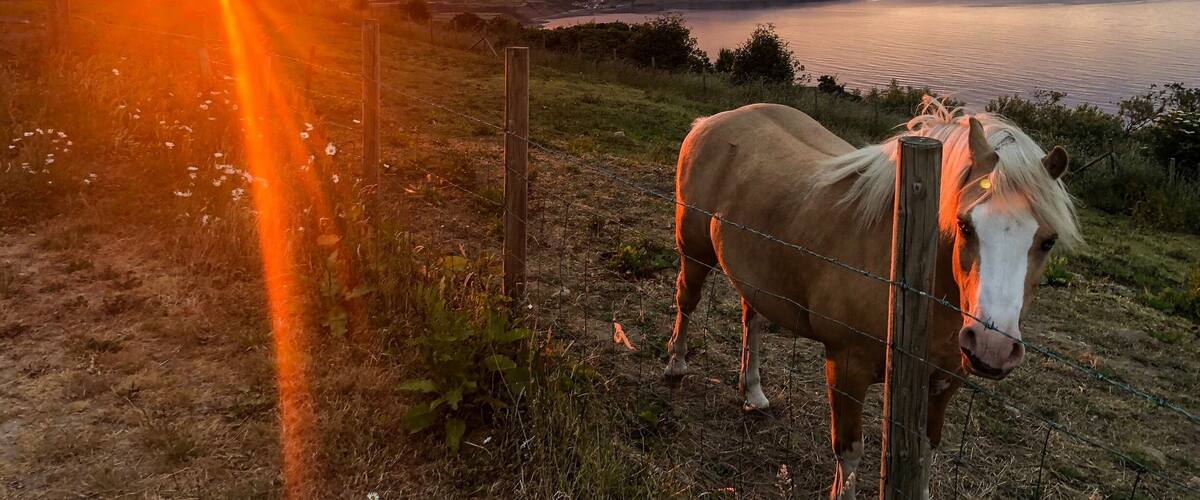 Beautiful skies this time of year in Ravenscar, North Yorkshire! #sunset #summersevening #LikeALocal #ravenscar #seaside #seaview #coast #whitby #scarborough #robinhoodsbay