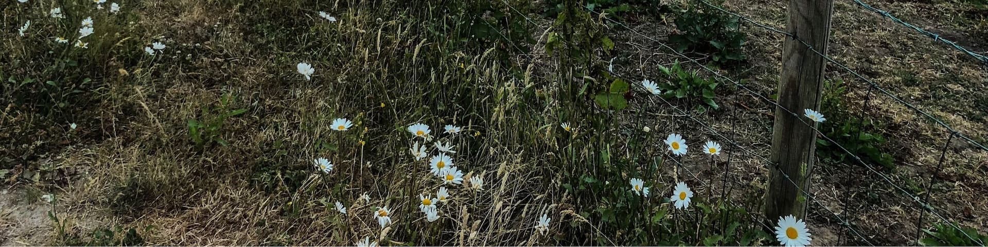 Beautiful skies this time of year in Ravenscar, North Yorkshire! #sunset #summersevening #LikeALocal #ravenscar #seaside #seaview #coast #whitby #scarborough #robinhoodsbay