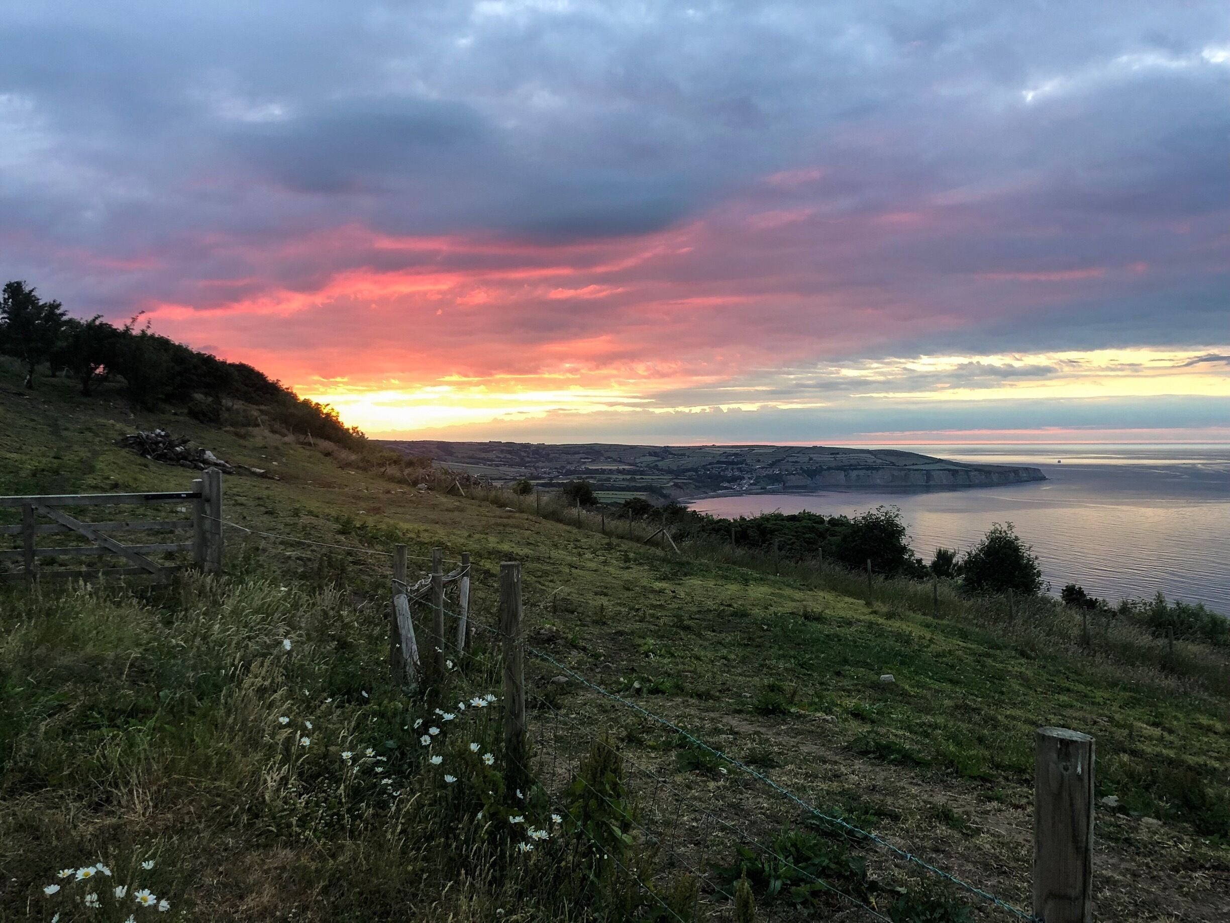 Un paisaje costero con un atardecer, colinas cubiertas de hierba, una valla de madera y flores silvestres.