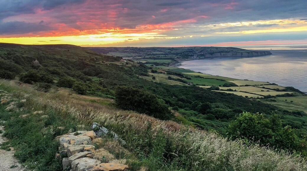 Beautiful skies this time of year in Ravenscar, North Yorkshire! #sunset #summersevening #LikeALocal #ravenscar #seaside #seaview #coast #whitby #scarborough #robinhoodsbay MyBackyard