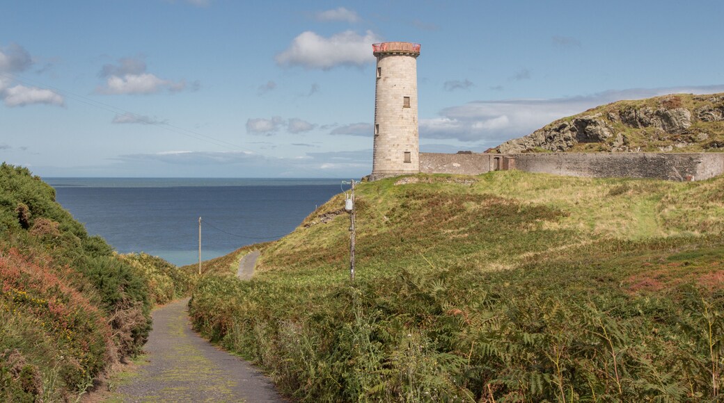 Een kustpad leidt naar een stenen vuurtoren met een rode top, omgeven door grasland en een rotsachtige klif.