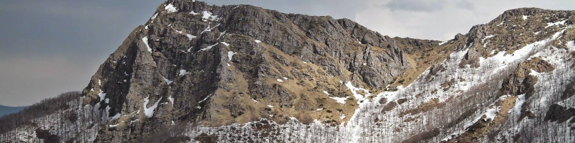A rugged mountain peak with snow patches and a forested valley.