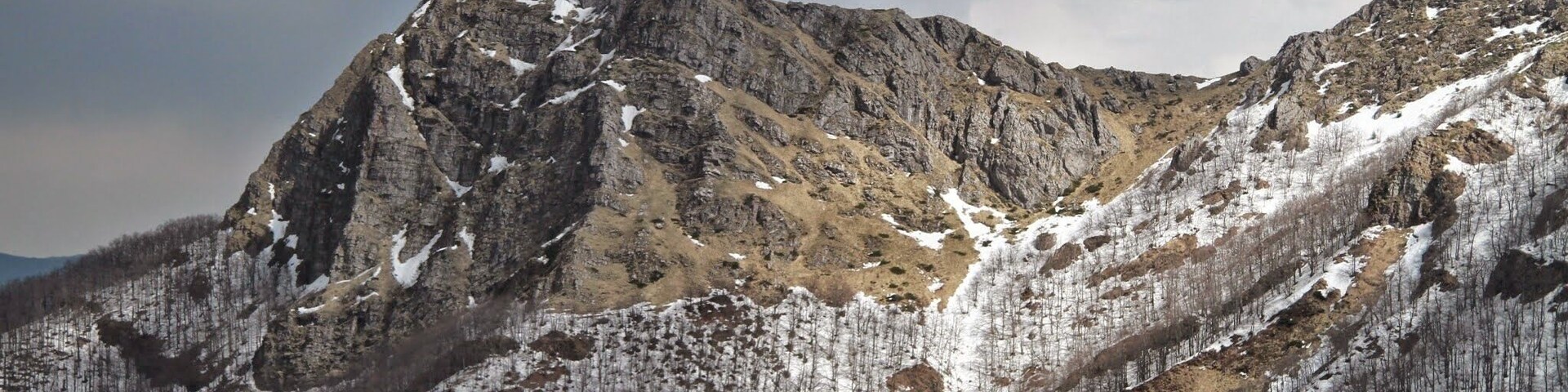 Un pico montañoso escarpado con parches de nieve y un valle boscoso.