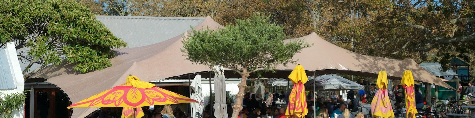 Noordhoek mostrando cenas de cafeteria