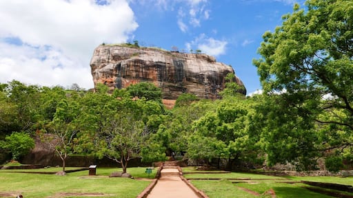 Sigiriya Rock, Sri Lanka. 🇱🇰 #lifeatexpedia #sigiriya #amazingsrilanka