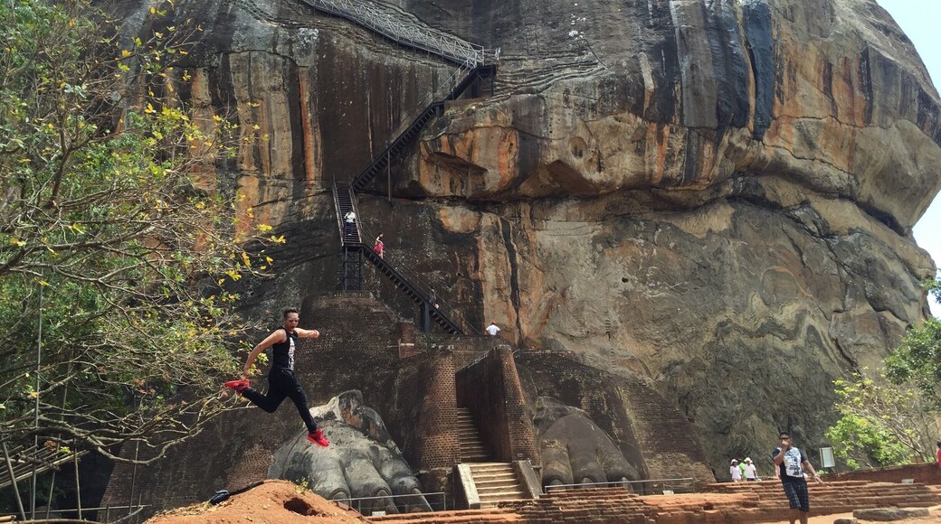 The amazing and welcoming staircase to the top of the palace.
#srilanka #UNESCO #worldheritage #mattravel #nationalpark