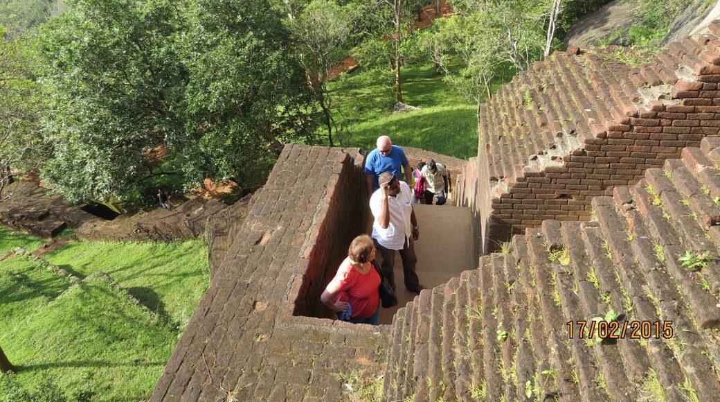 Getting there! 1.200 steps to top!