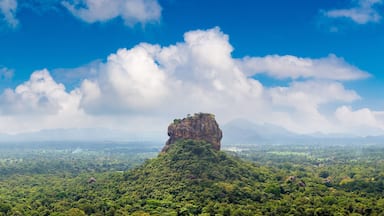 Una imponente formación rocosa rodeada de un bosque verde frondoso y un extenso paisaje bajo un cielo azul con nubes dispersas.