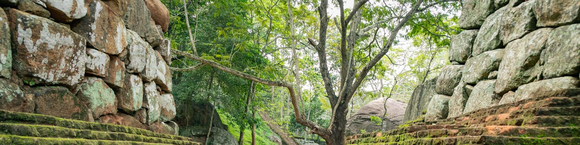 Sigiriya featuring signage and heritage elements