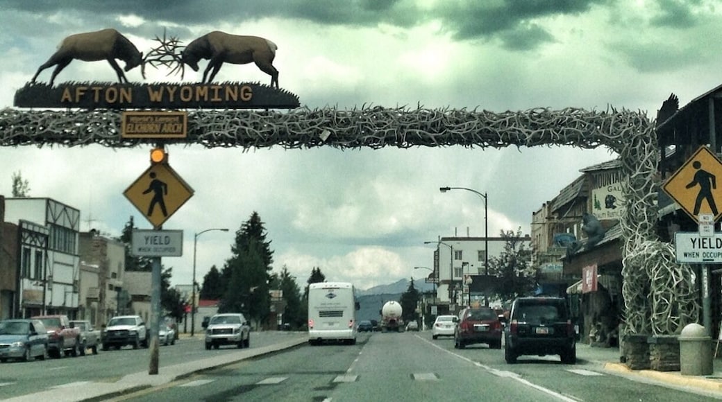 Bitchin elk antler arch. Looked like the had a nice fair going on too but I had other places to go.
