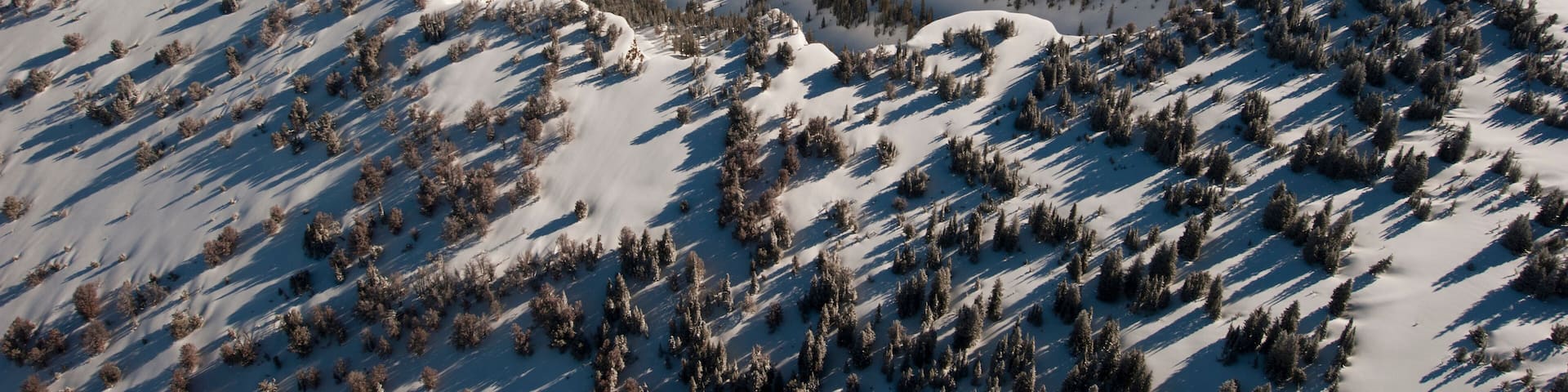 Mountains of the Bridger National Forest in western Wyoming, USA; Afton, Wyoming, United States of America