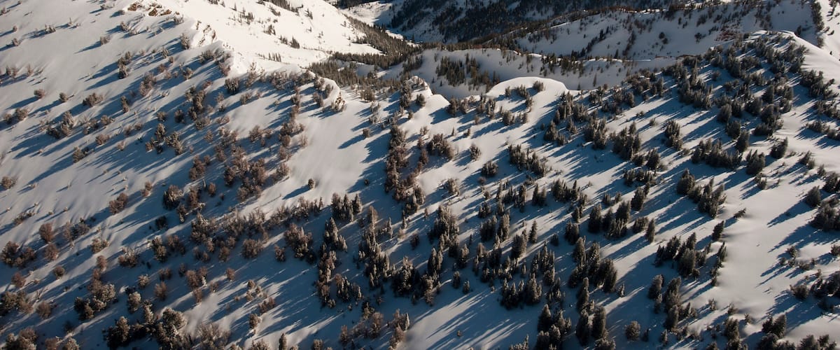 A snow-covered mountain range with dense forests at lower elevations.