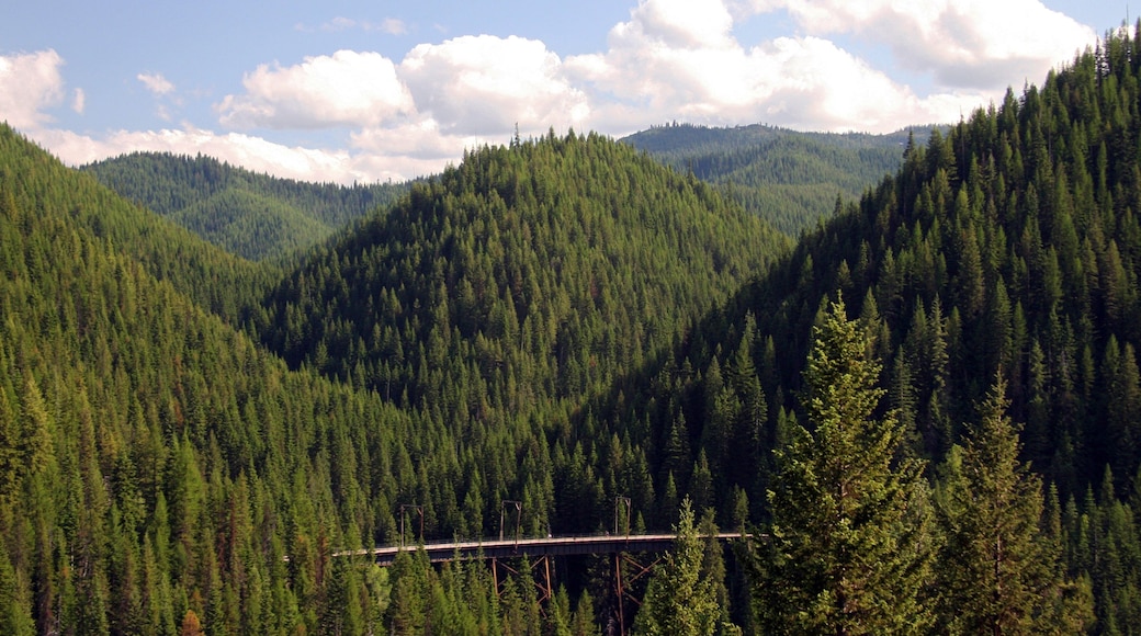 Wallace có tính năng cảnh thanh bình và rừng rậm