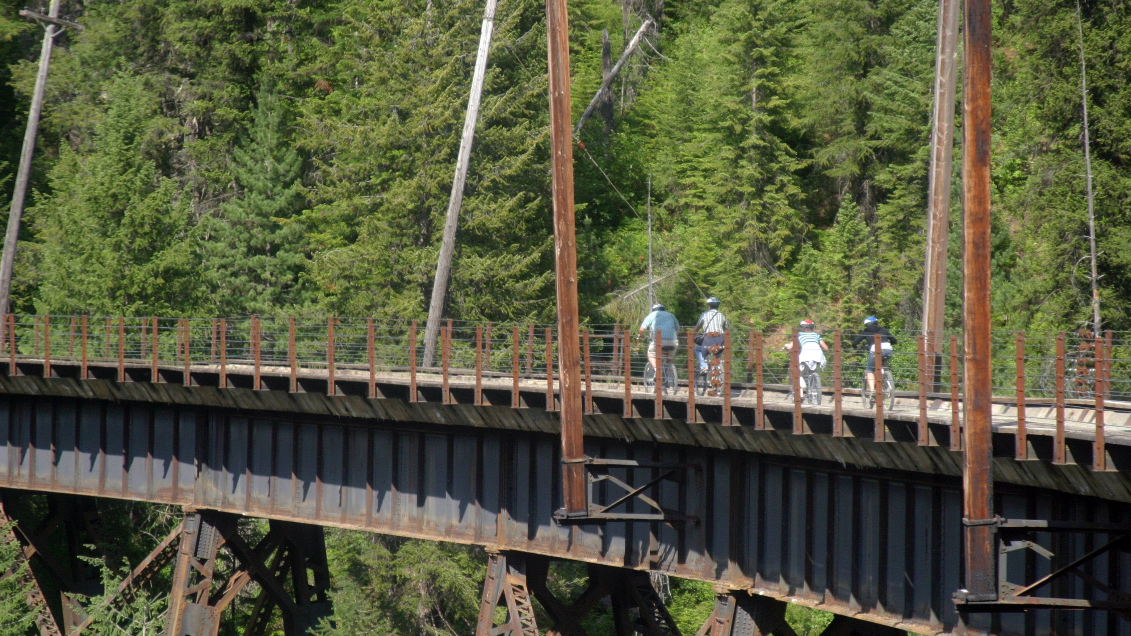 Wallace featuring a bridge, road cycling and forests