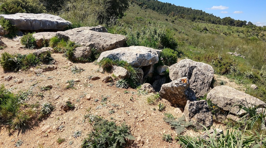Vista longitudinal del Dolmen del Gigante, en Montecorto, en abril de 2018.