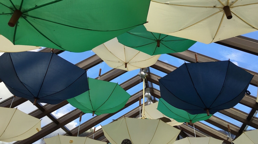 Restaurant in a local hotel