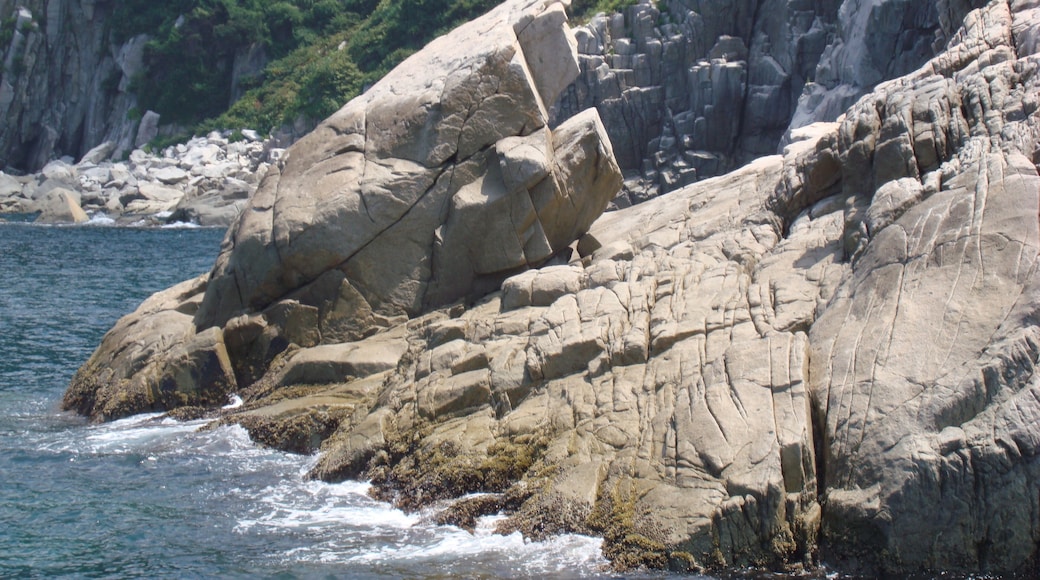 The natural object ”Meoto-Kameishi (The couple of turtles)”