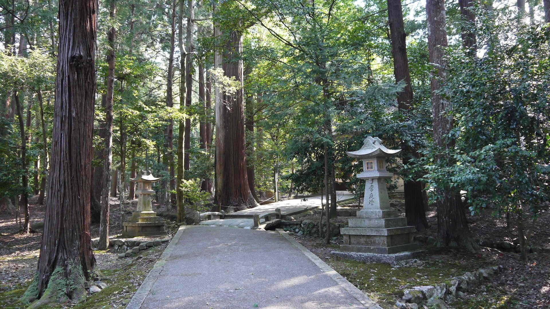 A forested area with a paved path, stone lanterns, and a small bridge.