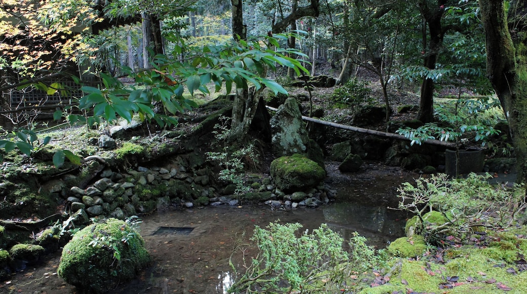 Wakasa-Hiko-jinja in Obama, Fukui prefecture, Japan.