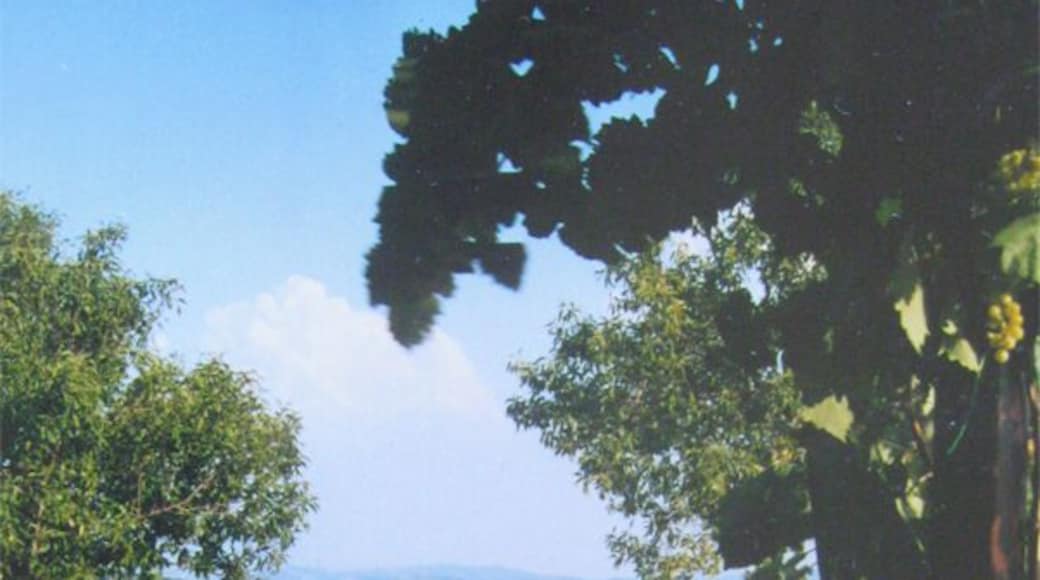 A view of Lake Trasimeno from the little Umbrian villa we rented for a week. A rental is a great way to explore the Italian countryside - rent a car, use half your days for travel and half for relaxing by the pool with a good book!