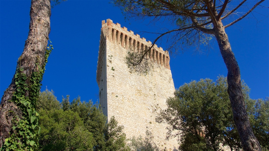 Castiglione del Lago showing heritage elements and a castle