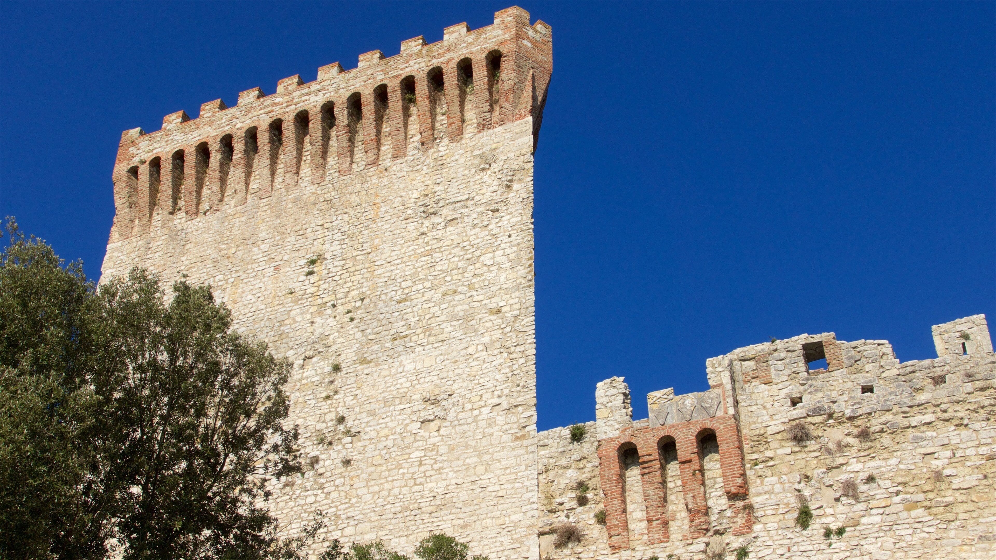 A tall stone tower with crenellations and a tree in the foreground.