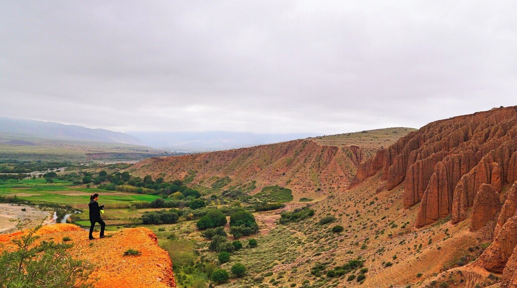 My host family took me to Lake Takerkoust (its dam powers all of Amizmiz and Marrakech) for a hike. Up here, you can see the entire floodplain and the river tributary that flows into the main lake. Far away on the other side, you can see a motorbike riding across the dirt road as if a speck of dust was slowly floating across space. As we sat and ate our picnic of fruit and veggy sticks, I couldn't help but wonder how much more Morocco is than just its stereotypical perception, a desert.