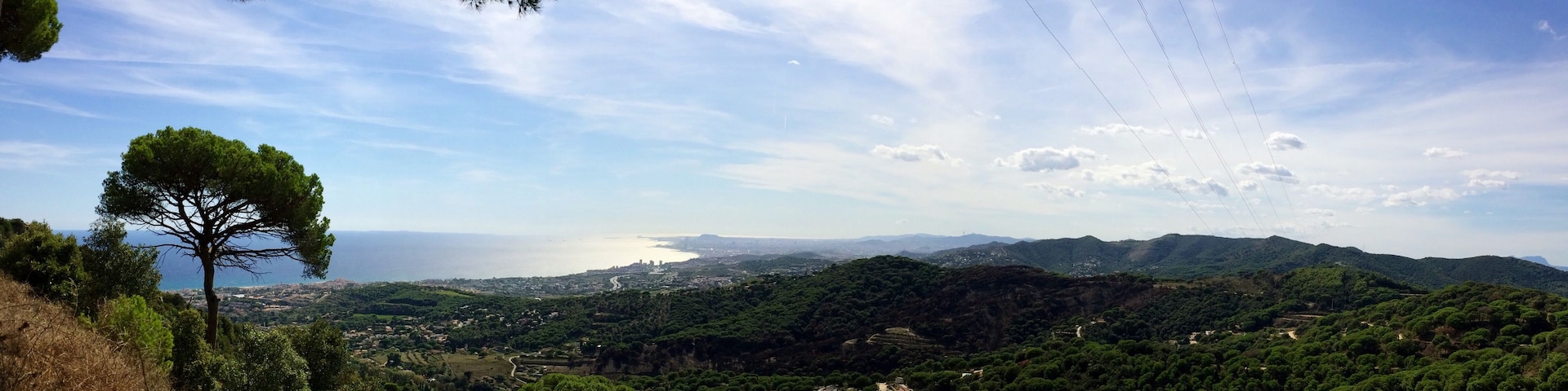 Un paisaje costero con cielo despejado, un árbol destacado y una vista distante del mar.