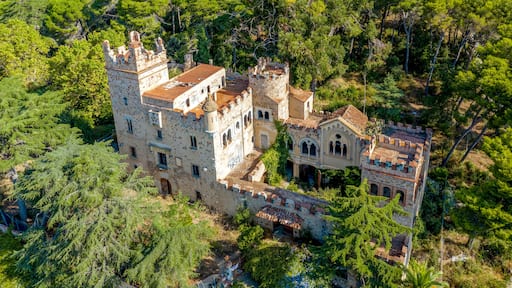 Un château entouré d’une forêt dense.