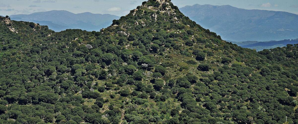 panoramica de burriac-maresme-cataluña