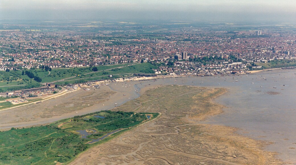 Aerial view of Two-Tree Island, eastern tip The eastern tip of Two-Tree Island lies within square TQ8385. It has a series of pools and dykes which attract birds, especially in the autumn. The extensive salt marsh to the right is rather bleached in August, but will form a roosting area for waders in winter at high tide. The buildings at the centre-right are those around Leigh station. Behind then are the green Belton Hills. Further along the coast above right of centre is Old Leigh.