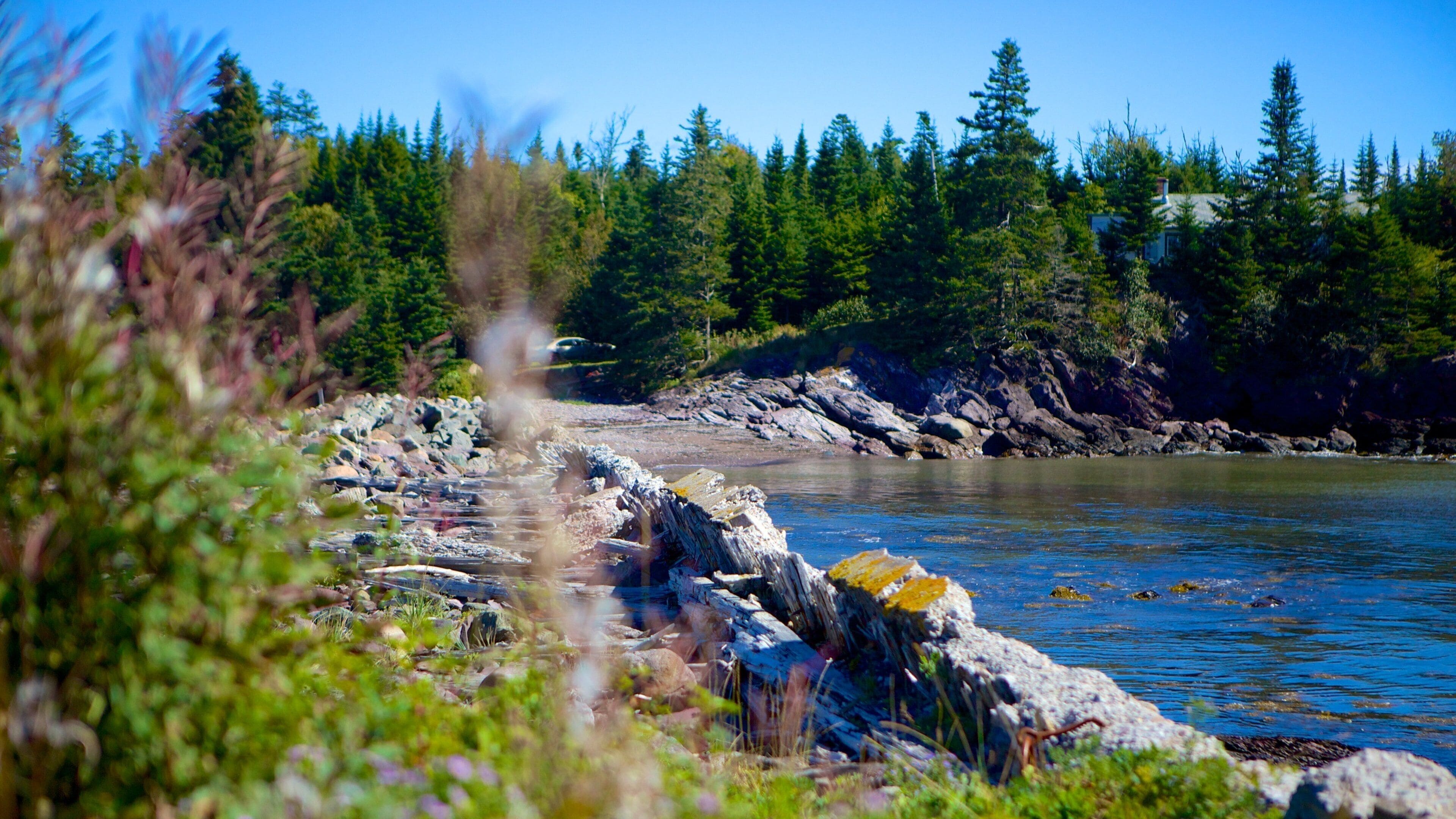 Chance Harbour featuring general coastal views