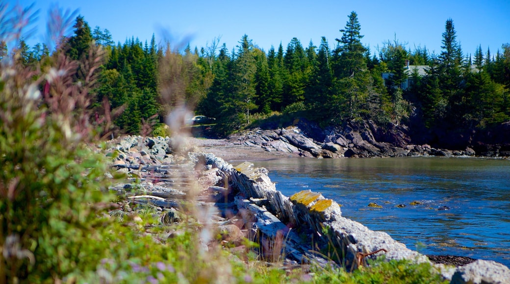 Chance Harbour which includes general coastal views